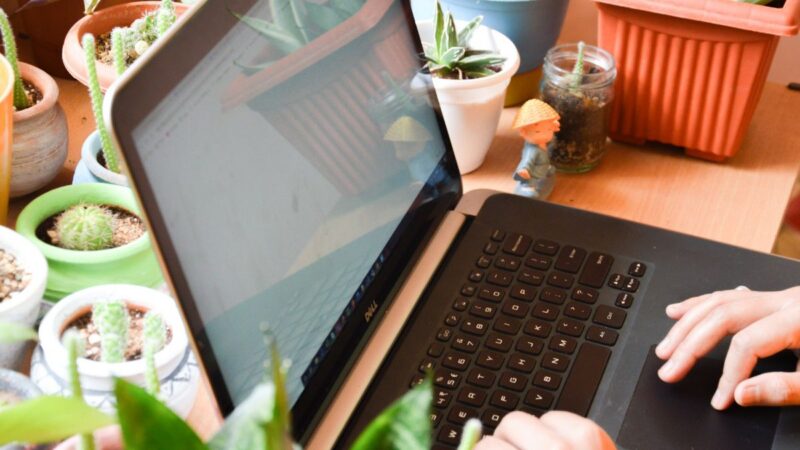 Intranet marie blachere : pourquoi il n’est accessible que sur firefox ?