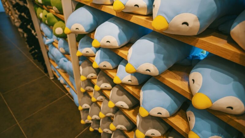 Ary peluche est disponible sur Amazon : les avis des acheteurs sont tranchés