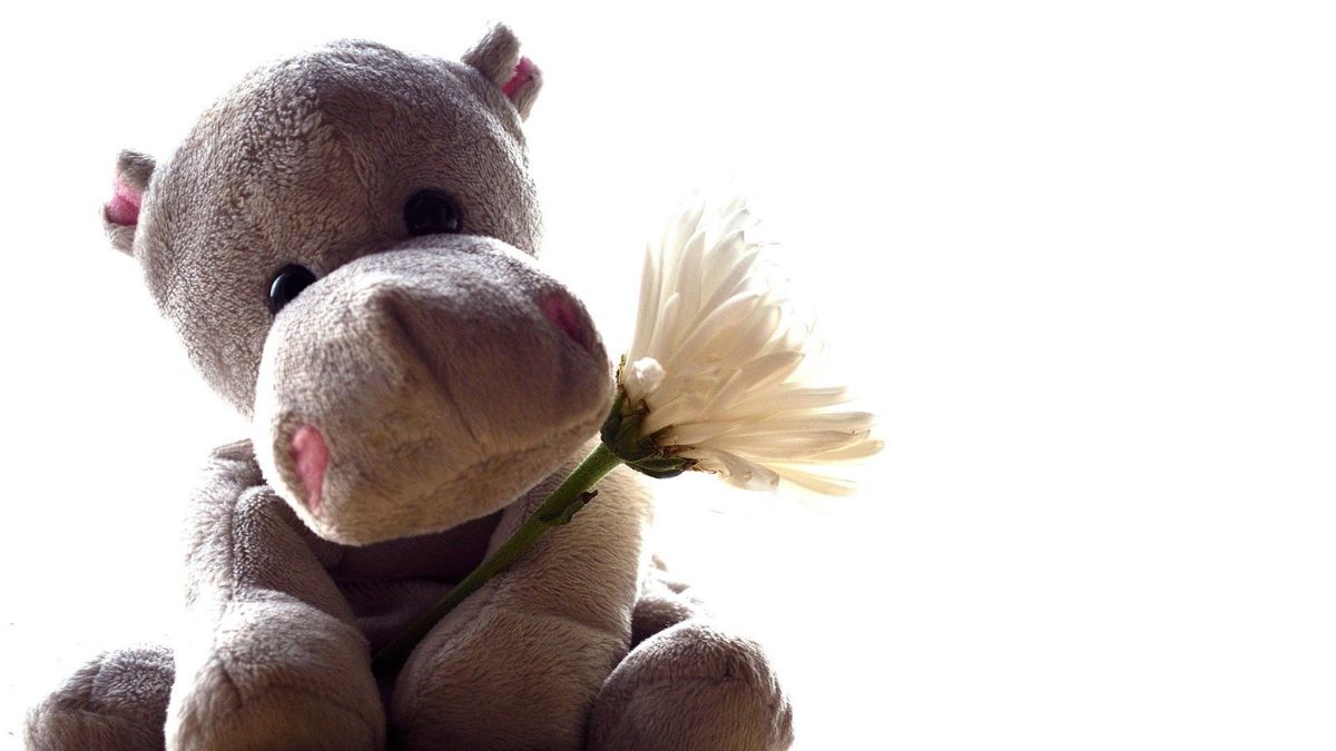 Lookiz : la start-up française qui veut réinventer le jouet éducatif