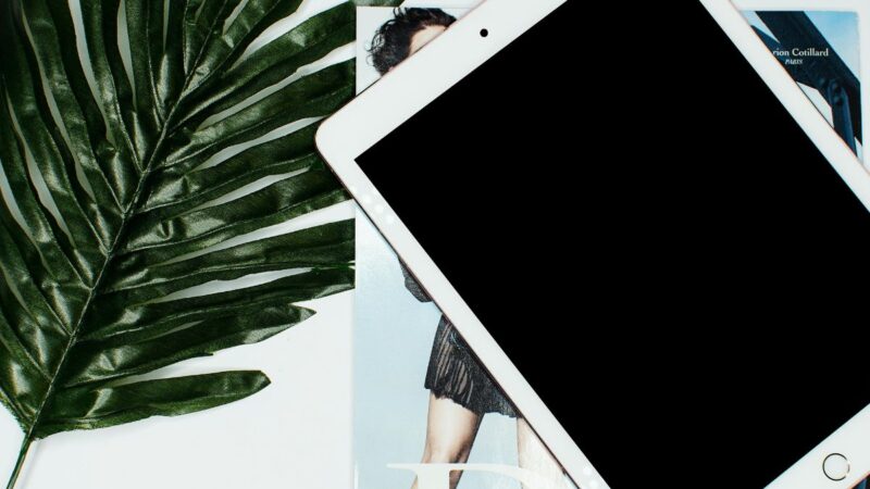 Comment savoir si votre iPad est vraiment éteint ou bloqué ?